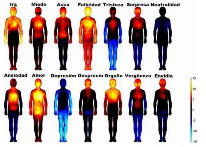 Zonas del cuerpo donde el estrés suele manifestarse